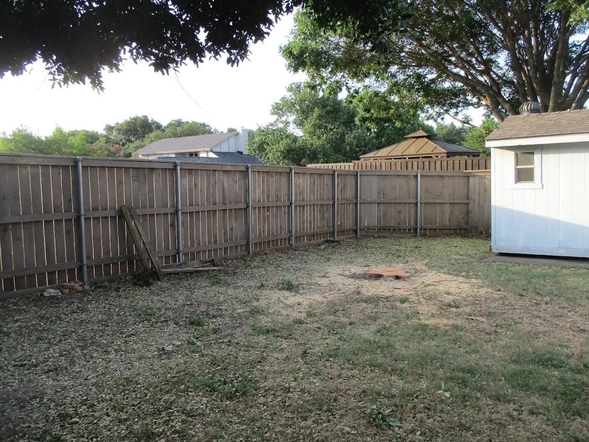 Cleared yard after professional tree removal in Evans